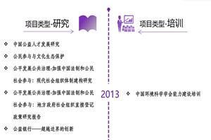 极品镘头小粉泬小说非评估类项目发展历程